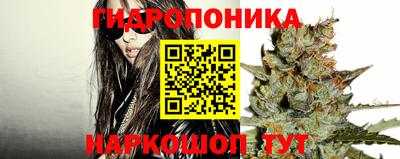 спиды Кандалакша