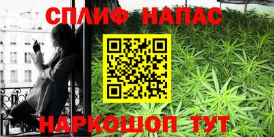 apvp Канаш