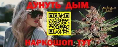 apvp Канаш